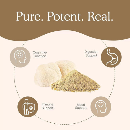 Lion's Mane Capsules